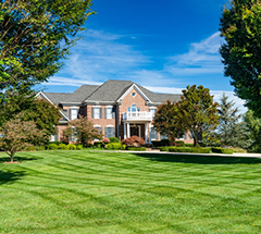 Double Extra Large Yard