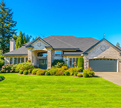 Extra Large Yard